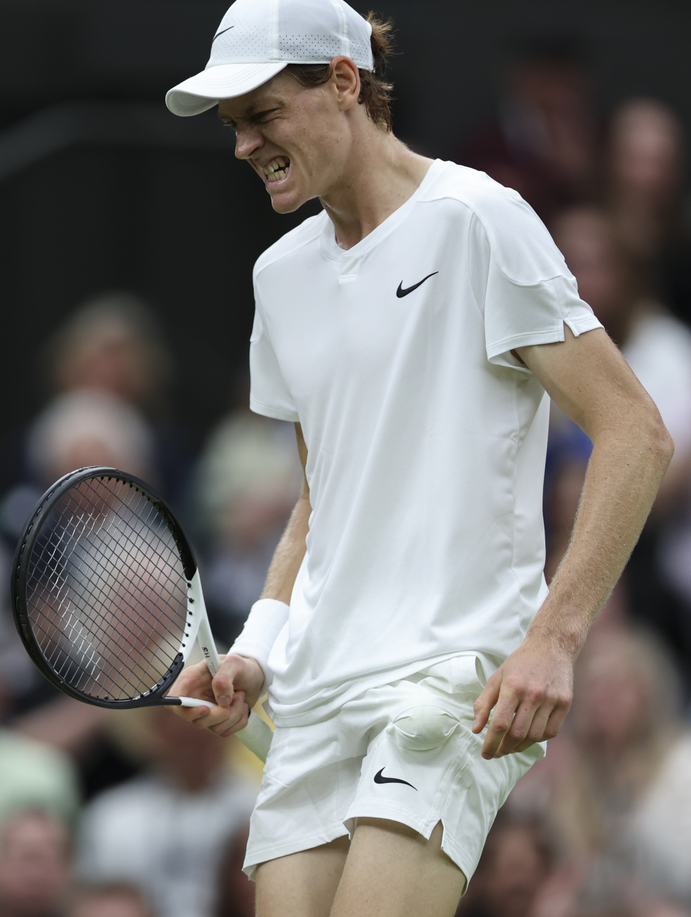 威廉姆斯在 威廉姆斯在